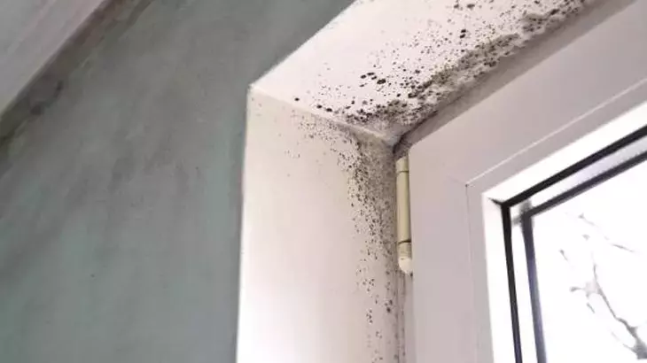 Evde Nem Dengesini Sağlamanın Doğal Yolları